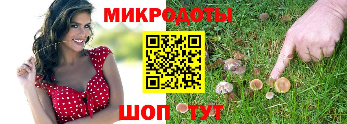 Галлюциногенные грибы Magic Shrooms Саяногорск