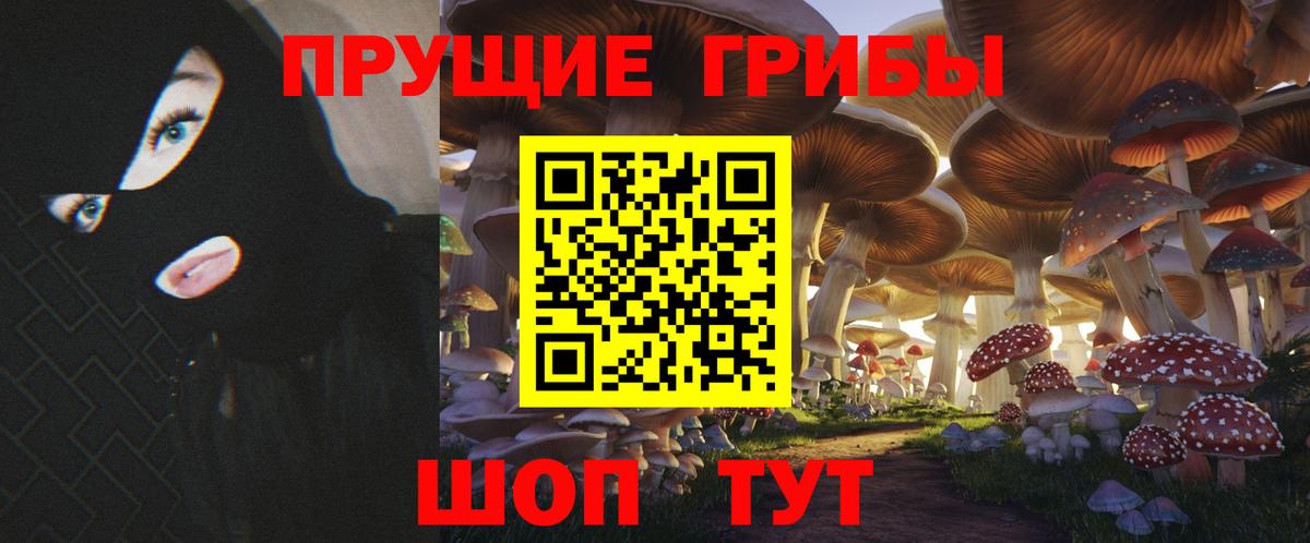 Саяногорск  Галлюциногенные грибы ЛСД  Вход с VPN  Галлюциногенные грибы прущие грибы 